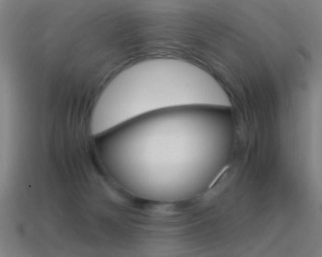 X0000114700132200910211018