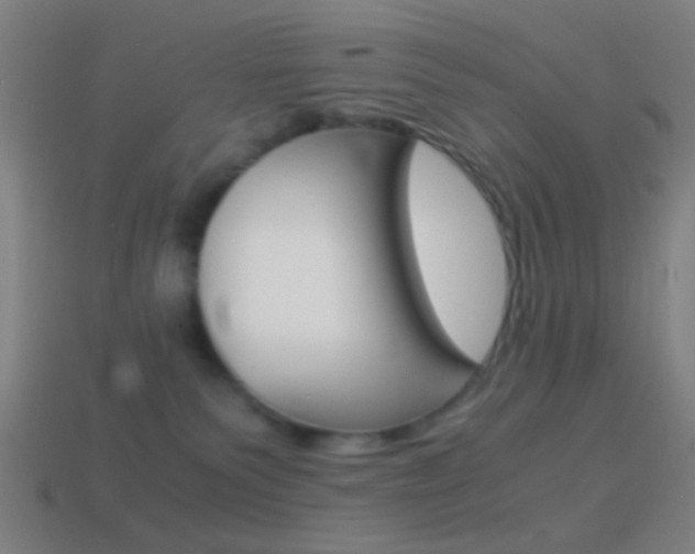 X0000114700135200910211017