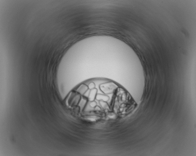 X0000114700136200910211017