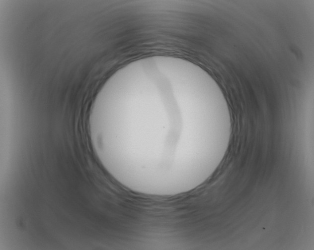 X0000114700137200910211017