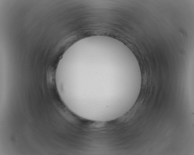 X0000114700138200910211017