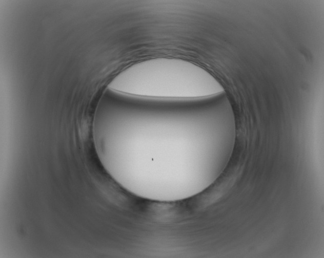 X0000114700139200910211017