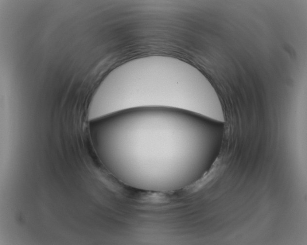 X0000114700140200910211017