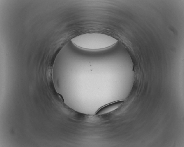 X0000114700141200910211017