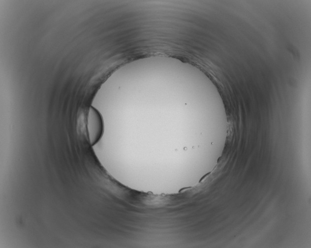 X0000114700142200910211017