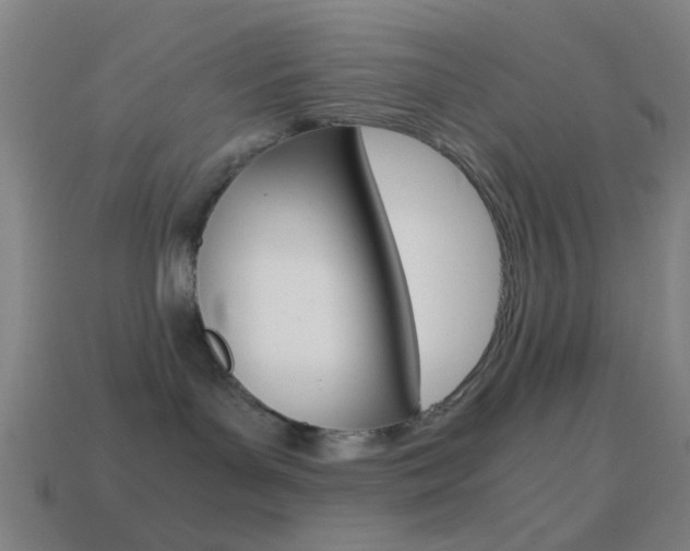 X0000114700143200910211017