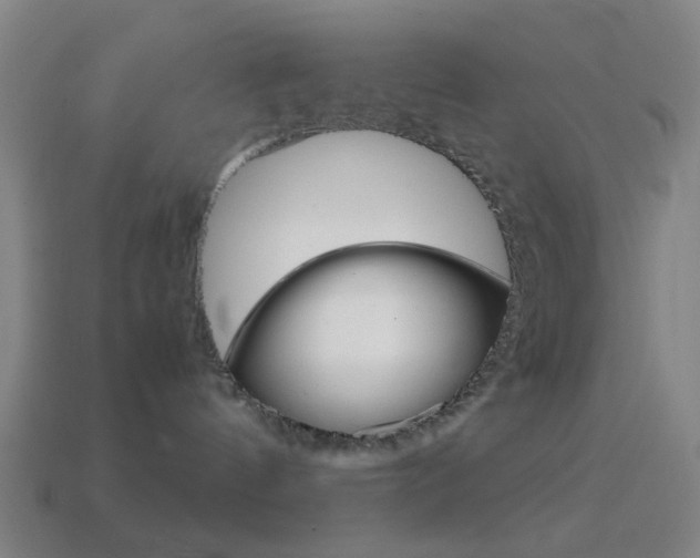 X0000114700144200910211017