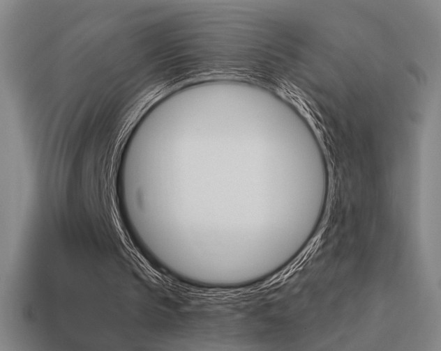 X0000114700145200910211017