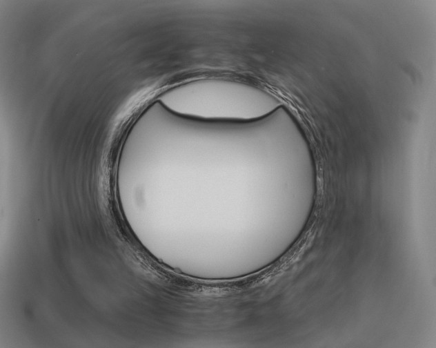 X0000114700149200910211017