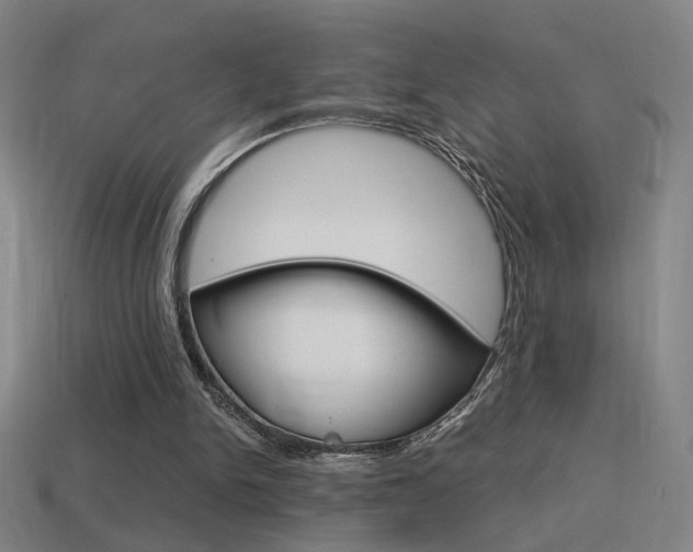 X0000114700150200910211017