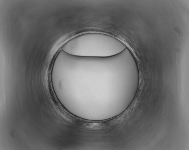 X0000114700151200910211017