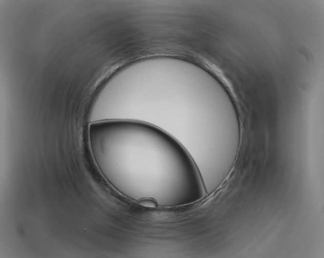 X0000114700154200910211017