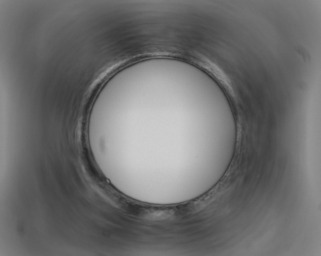 X0000114700155200910211017