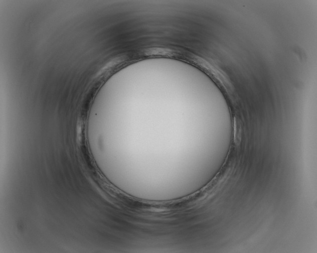 X0000114700157200910211017