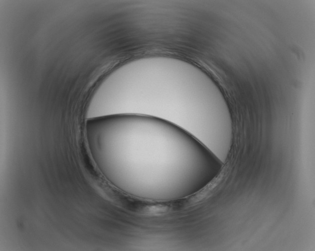 X0000114700158200910211017