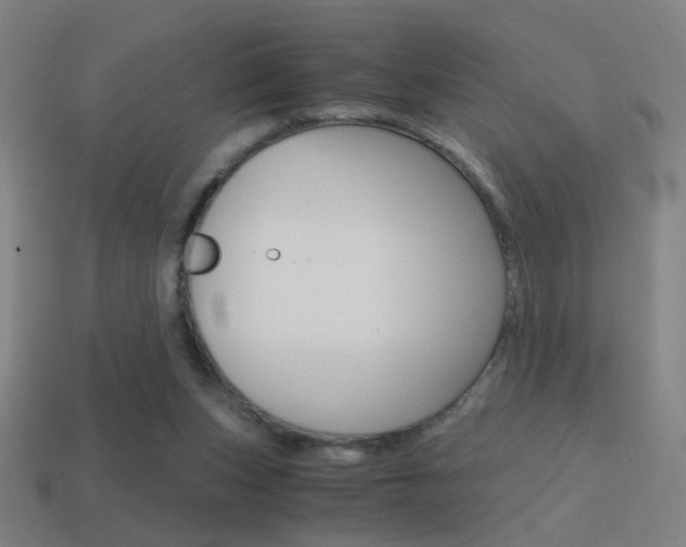 X0000114700159200910211017