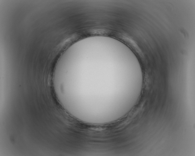 X0000114700161200910211017