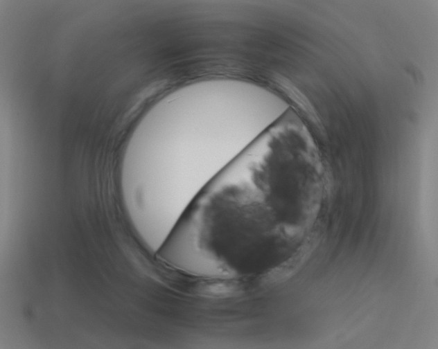 X0000114700163200910211017