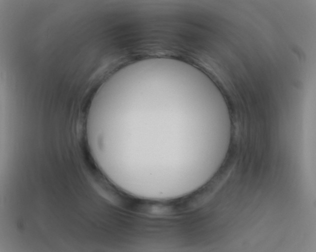 X0000114700165200910211017