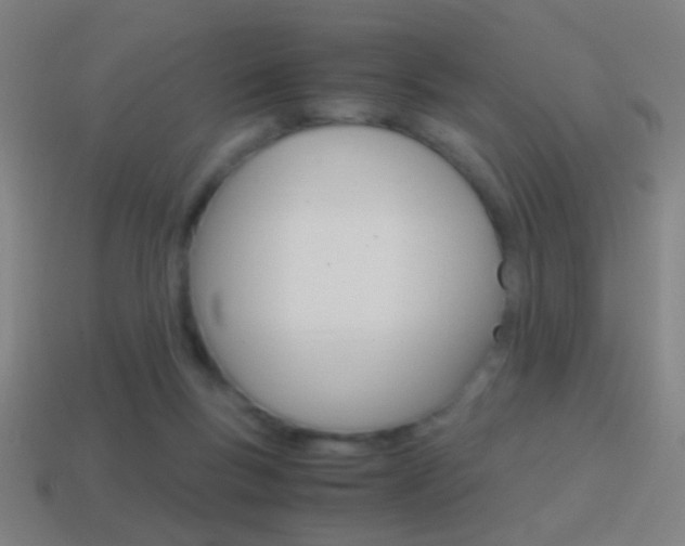 X0000114700167200910211017