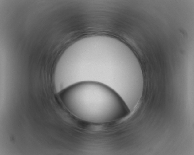 X0000114700170200910211017