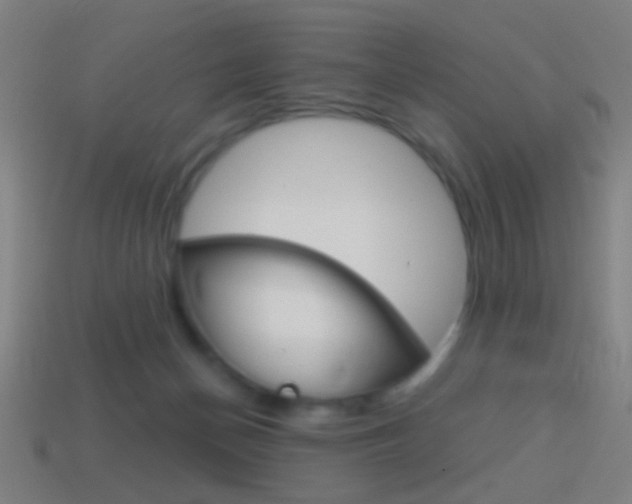 X0000114700174200910211017