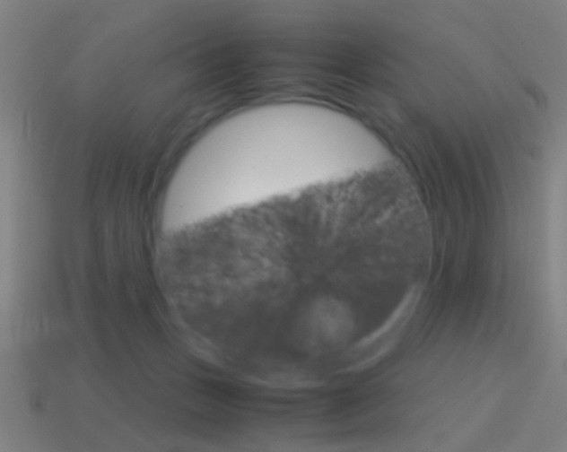 X0000114700175200910211017