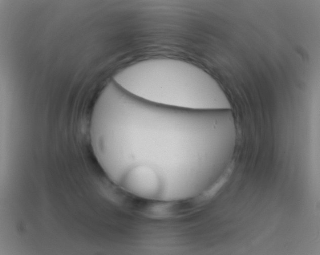 X0000114700178200910211017