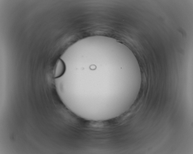 X0000114700181200910211017