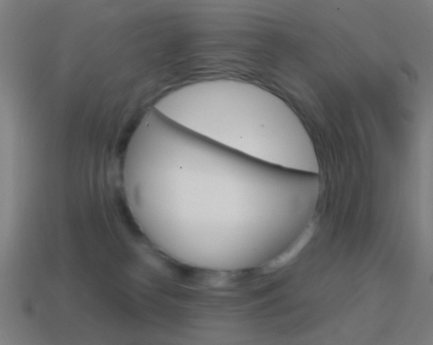 X0000114700182200910211017