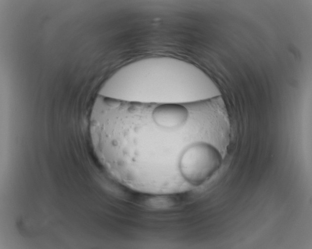 X0000114700183200910211017