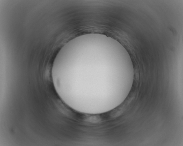 X0000114700185200910211017