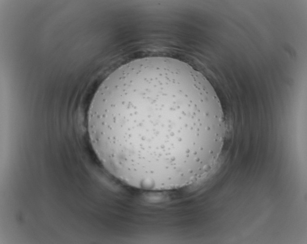 X0000114700187200910211017