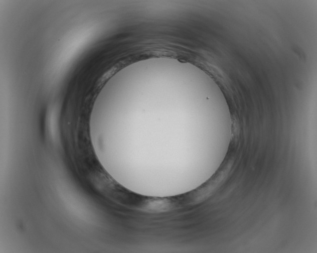 X0000114700189200910211017