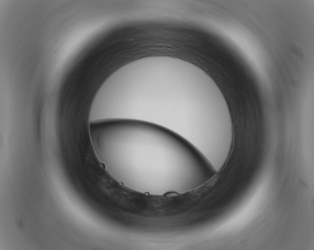 X0000114700190200910211017