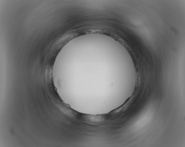 X0000114700191200910211017