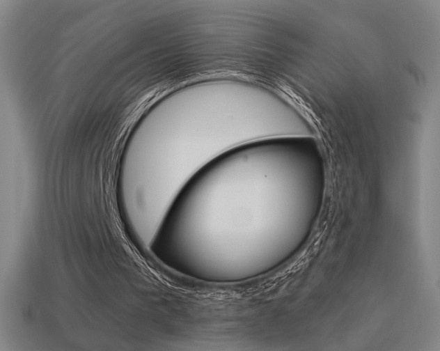 X0000114700193200910211017