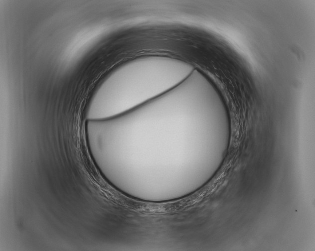 X0000114700194200910211017