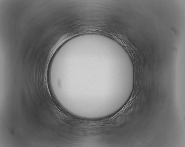 X0000114700195200910211017