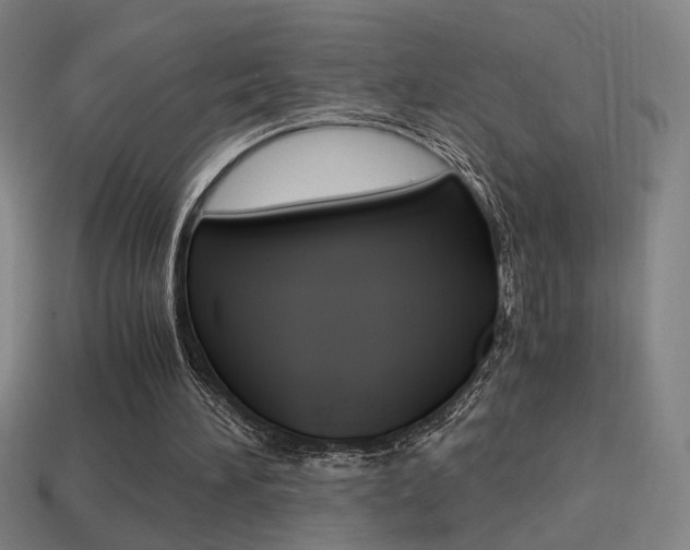 X0000114700196200910211017