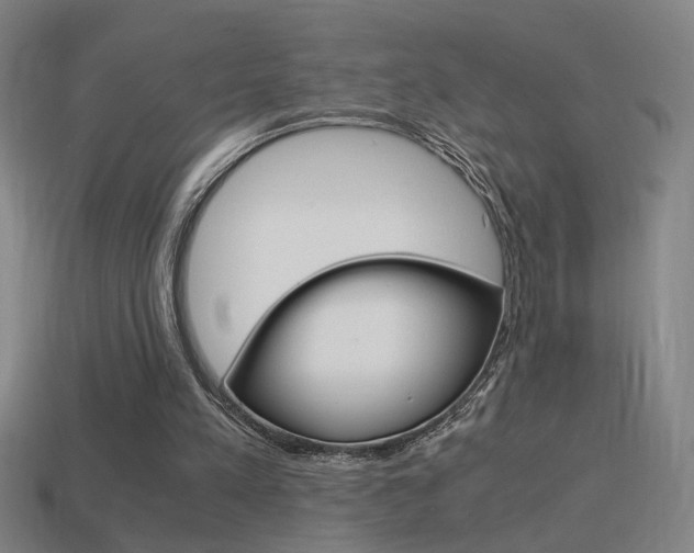 X0000114700197200910211017