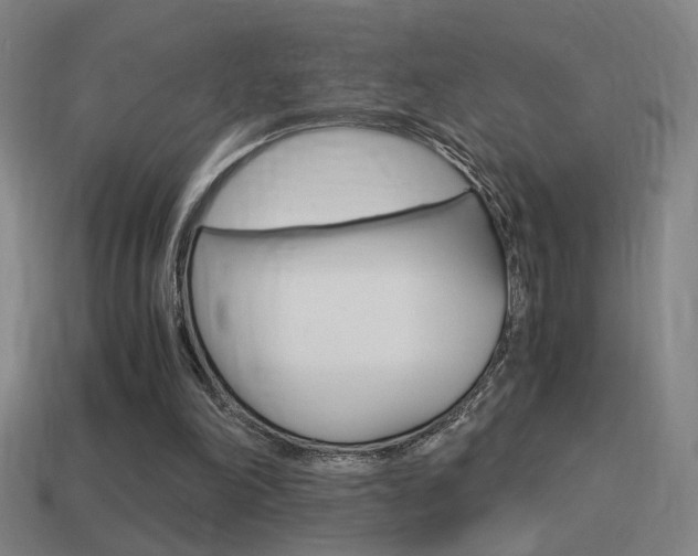 X0000114700198200910211017