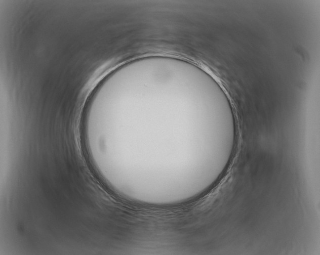 X0000114700199200910211017