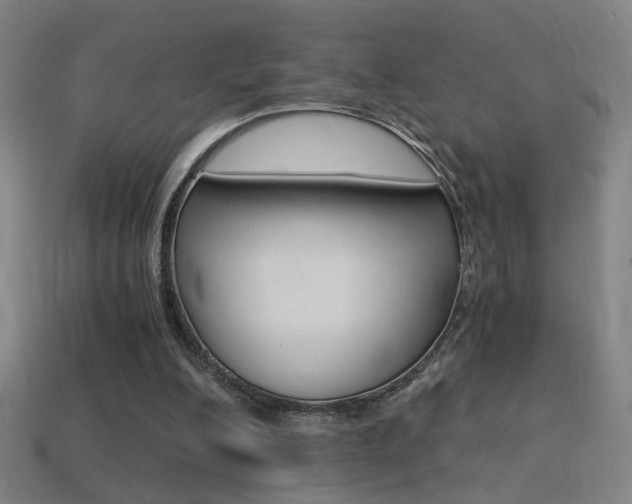 X0000114700200200910211016