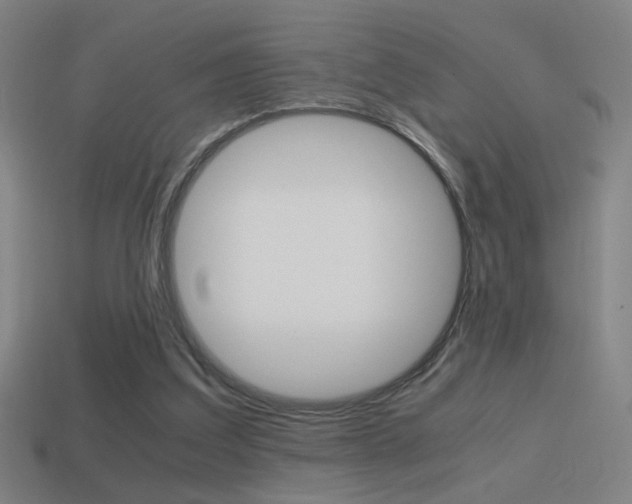 X0000114700203200910211016