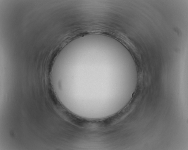 X0000114700209200910211016