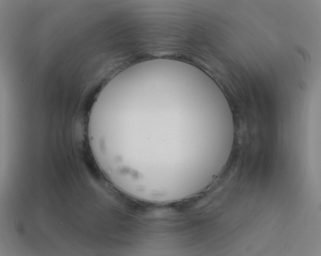 X0000114700210200910211016