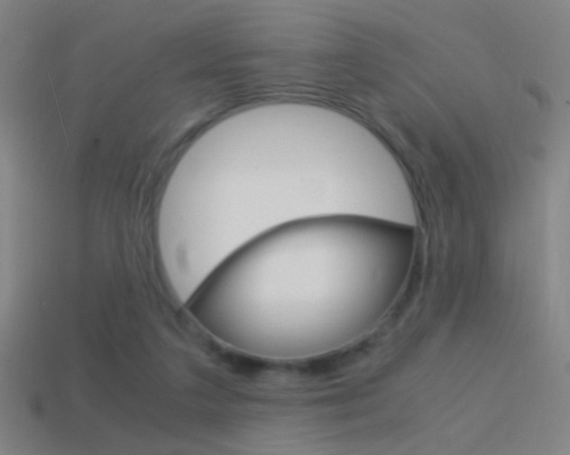 X0000114700211200910211016