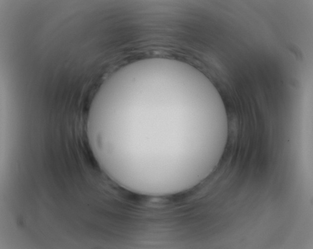 X0000114700222200910211016