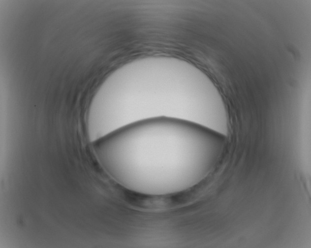 X0000114700225200910211016